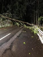 2019 &raquo; 5.5.2019 – Umgestürzte Bäume 